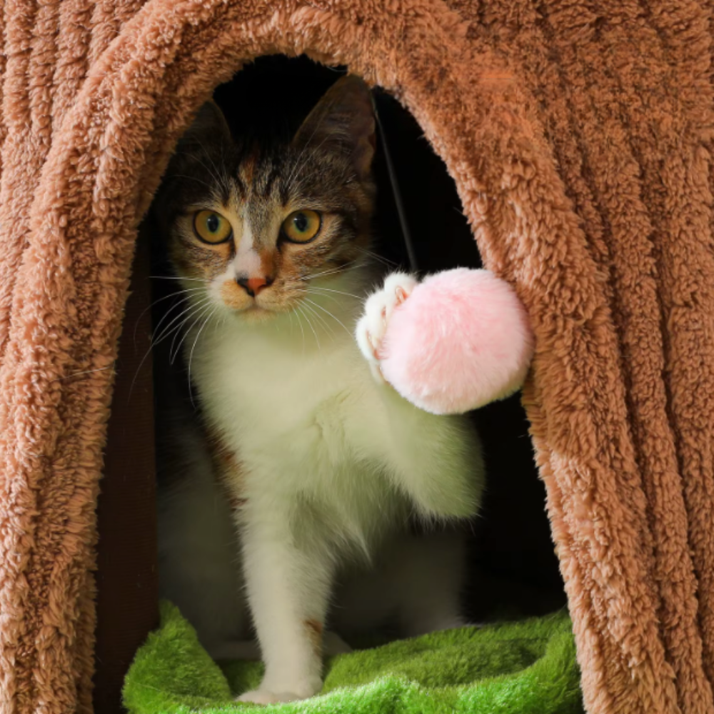 Arbre à chat multi-niveaux style tronc avec niches et plateformes