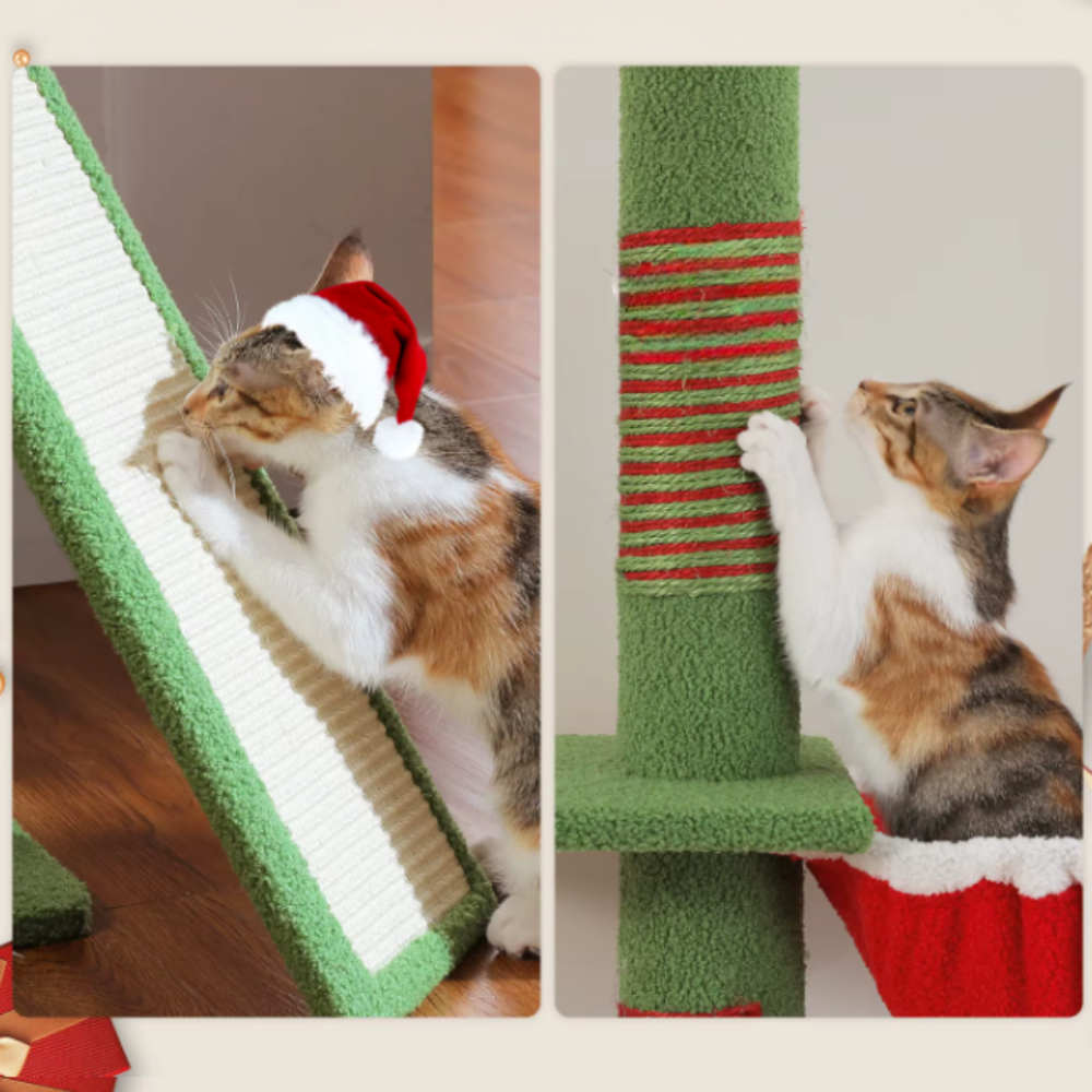 Arbre à chat réglable sol plafond avec niches, hamac et plateformes