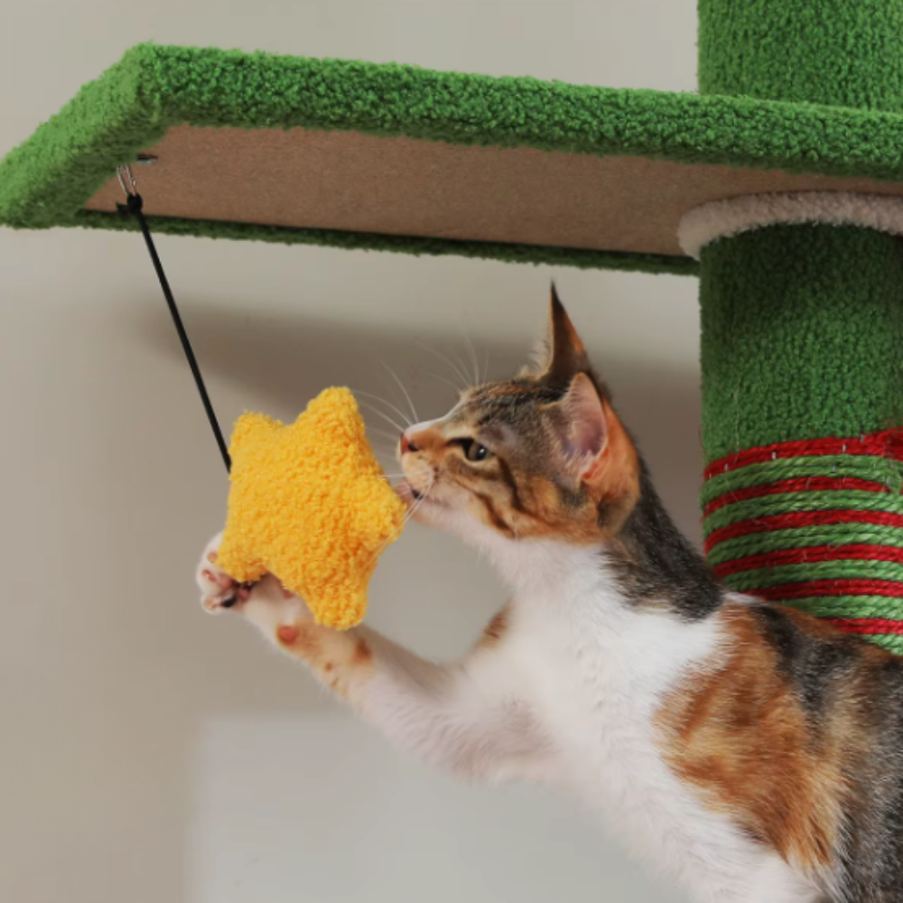 Arbre à chat réglable sol plafond avec niches, hamac et plateformes