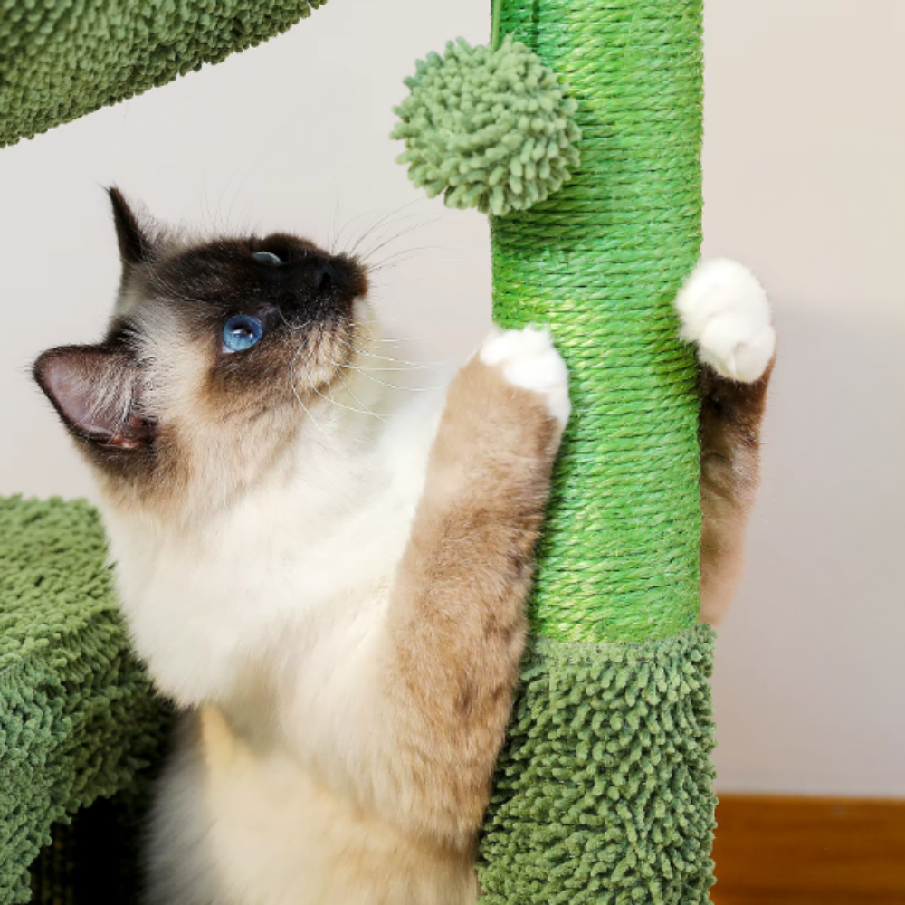 Arbre à chat cactus avec hamac, niche et poteaux sisal – 102 cm
