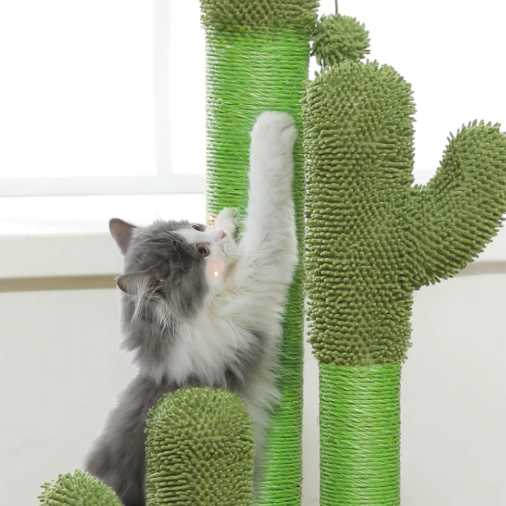 Arbre à chat cactus avec hamac, niche et poteaux sisal – 102 cm