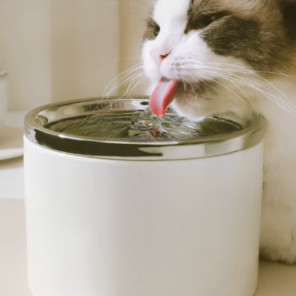 Fontaine à eau pour chat 1 L céramique USB