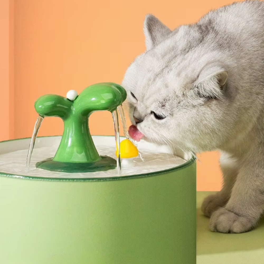 Fontaine à eau pour chat céramique 1 L / 1,5 L USB