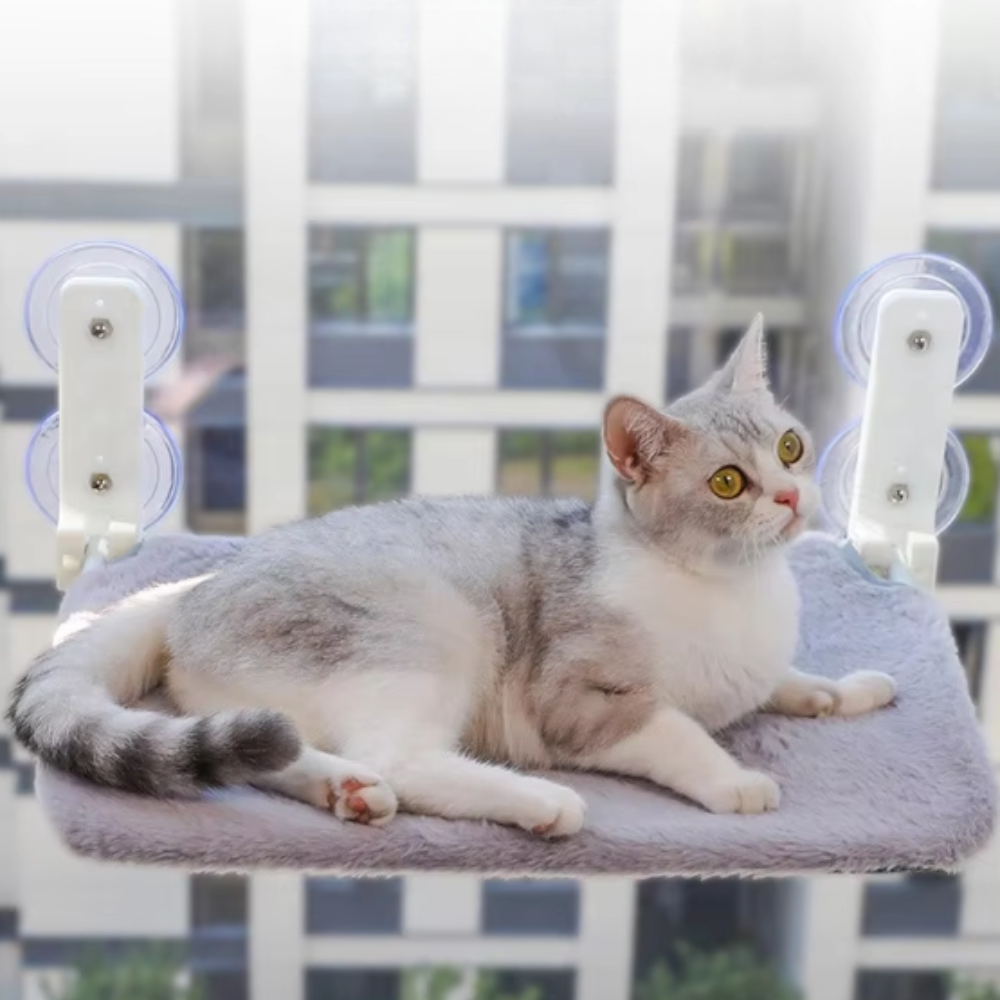 Hamac de fenêtre pour chat avec ventouses 45 × 30 cm