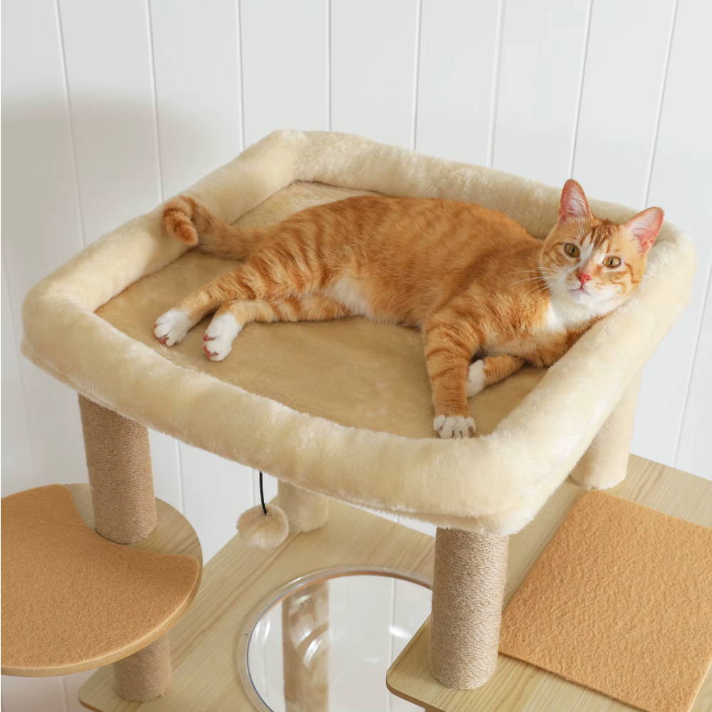 Arbre à chat en bois multi-niveaux 150–180 cm avec plateformes et niche