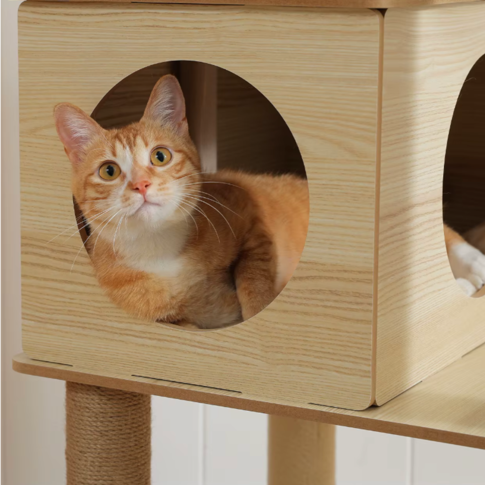 Arbre à chat en bois multi-niveaux 150–180 cm avec plateformes et niche