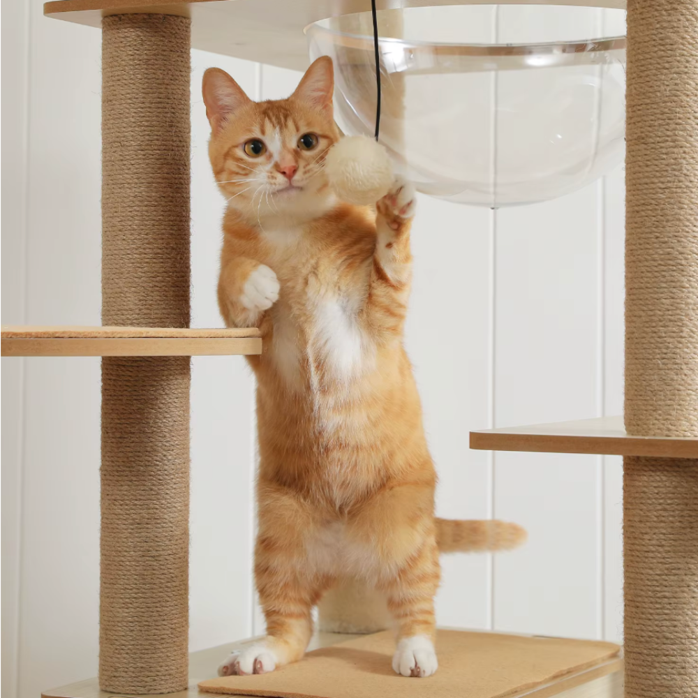 Arbre à chat en bois multi-niveaux 150–180 cm avec plateformes et niche
