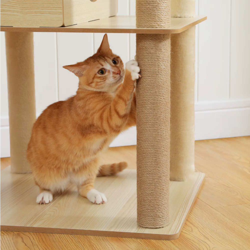 Arbre à chat en bois multi-niveaux 150–180 cm avec plateformes et niche