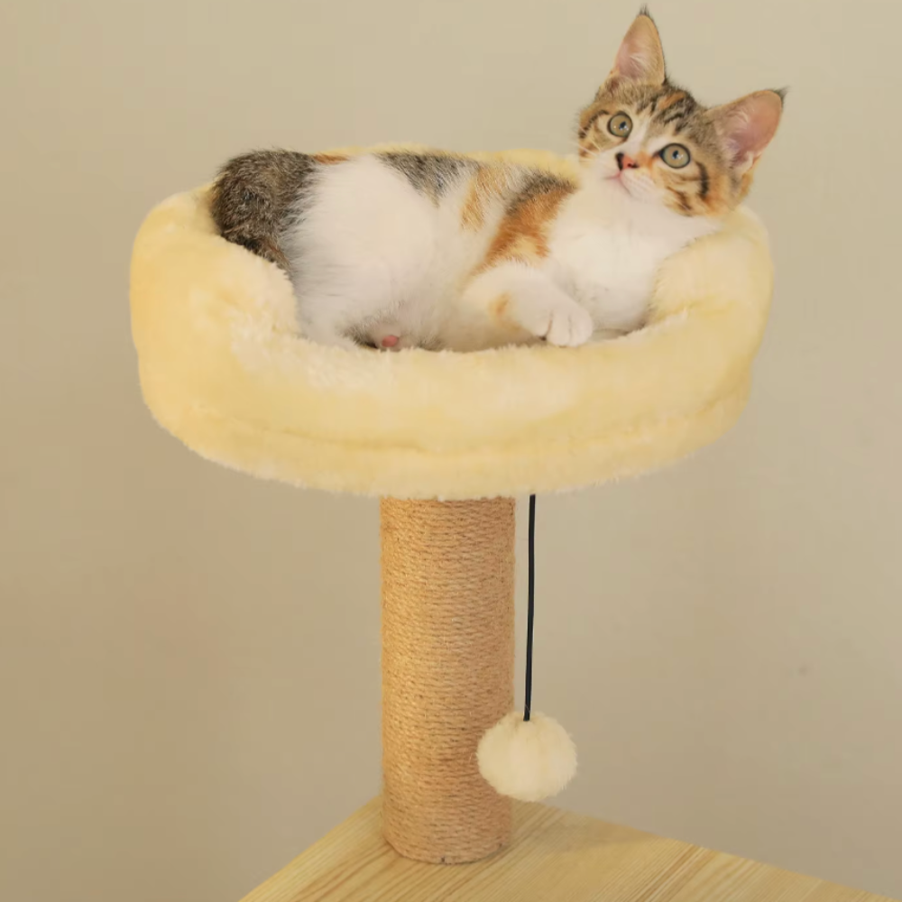 Arbre à chat en bois multi-niveaux 150–180 cm avec plateformes et niche