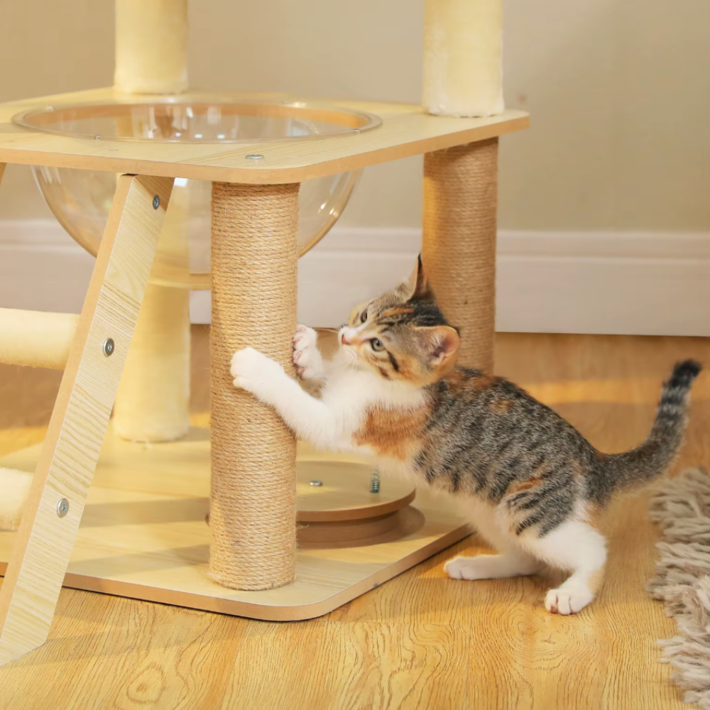 Arbre à chat en bois multi-niveaux 150–180 cm avec plateformes et niche