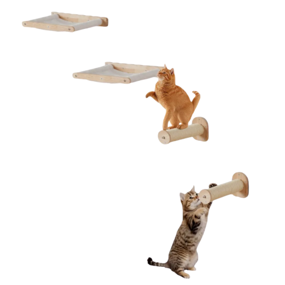 Parcours mural pour chat avec hamacs et poteaux en sisal