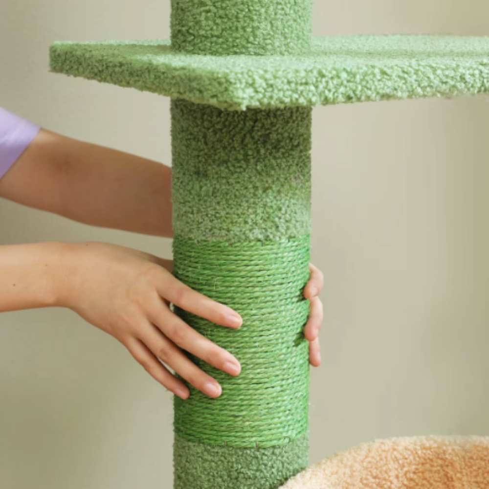 Arbre à chat cactus réglable du sol au plafond avec plateformes et poteaux en sisal