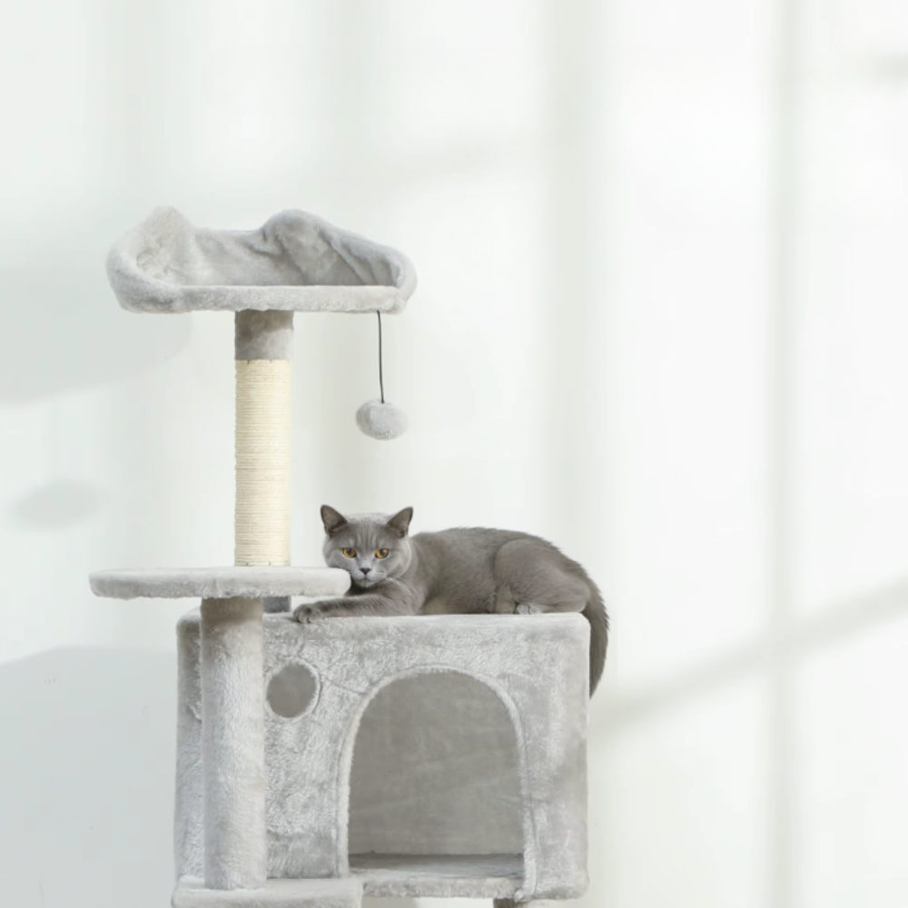 Arbre à chat multi-niveaux avec niches, rampe et hamac – 160 cm