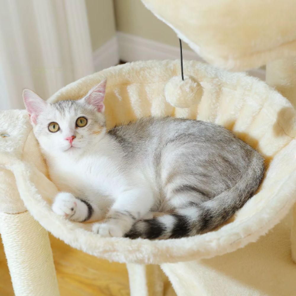 Arbre à chat multi-niveaux avec niche, hamac et rampe sisal – 100 cm