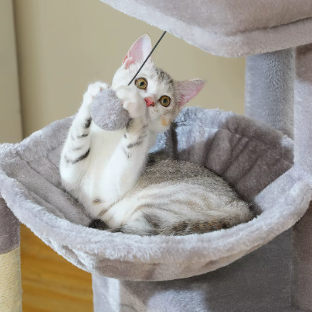 Arbre à chat multi-niveaux avec niche, hamac et rampe sisal – 100 cm