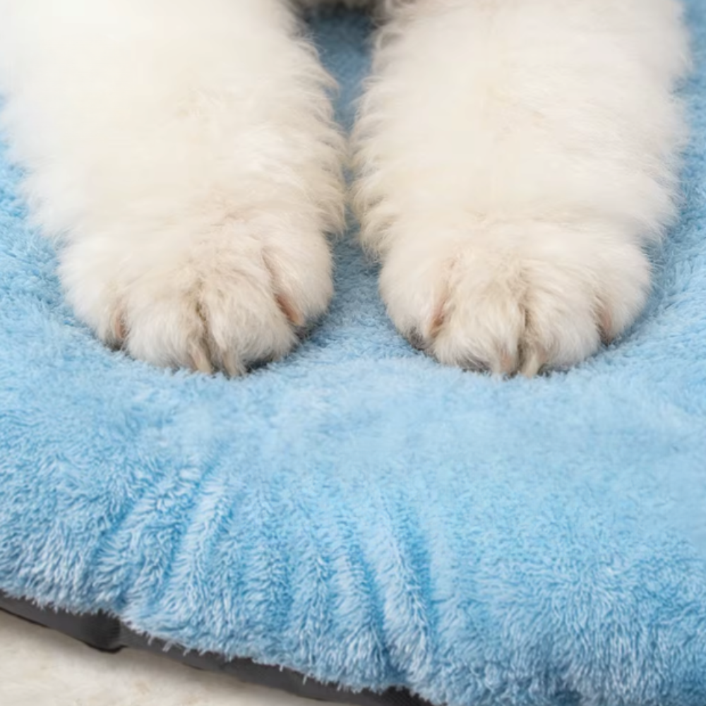Niche Intérieure pour Chat en Tissu avec Coussin Amovible et Forme de maison