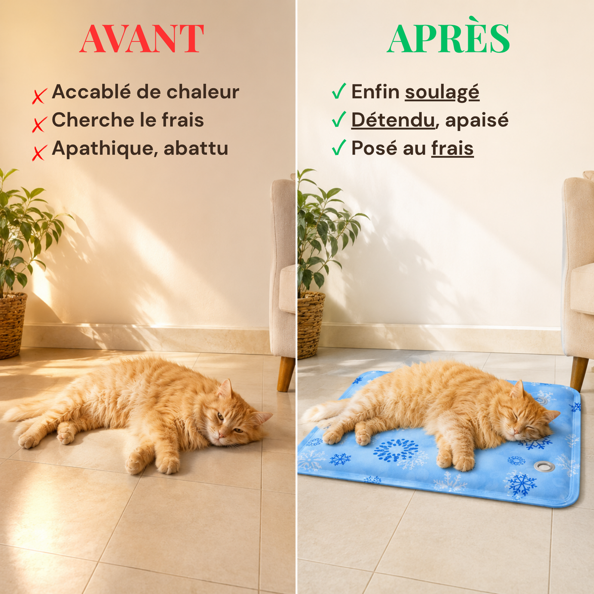 Tapis rafraîchissant pour chat à eau 60x90 cm